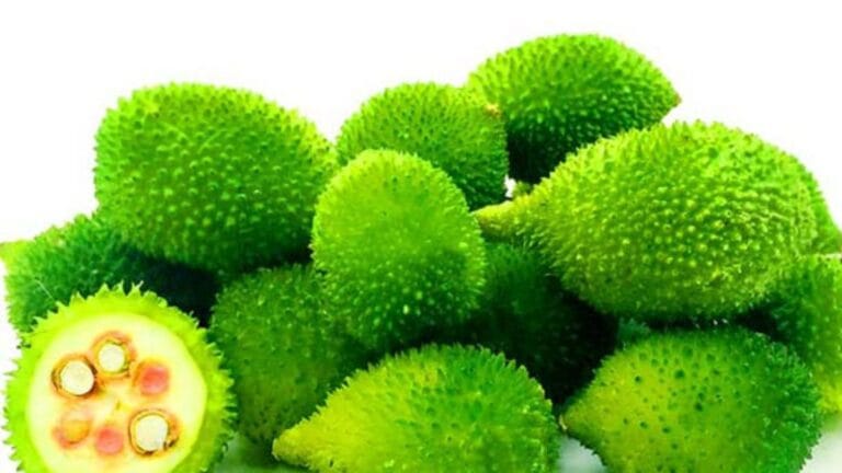 ప్రతిరోజూ మన ఆహారంలో బోడ కాకరకాయను చేర్చడం ఆరోగ్యానికి చాలా మేలు చేస్తుంది. చలికాలంలో ఇది అందుబాటులో ఉంటే తప్పక ప్రయత్నించి తినండి. దీని ప్రయోజనాలు మీ ఆరోగ్యాన్ని మరింత మెరుగుపరుస్తాయి!