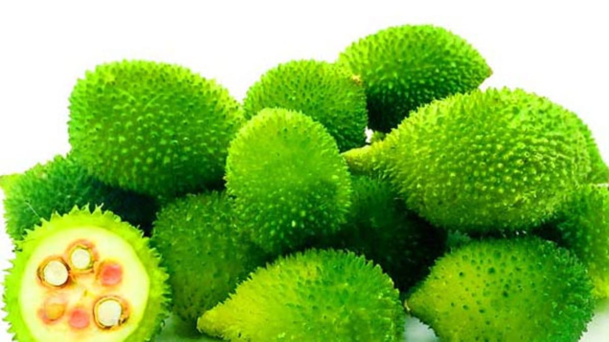 ప్రతిరోజూ మన ఆహారంలో బోడ కాకరకాయను చేర్చడం ఆరోగ్యానికి చాలా మేలు చేస్తుంది. చలికాలంలో ఇది అందుబాటులో ఉంటే తప్పక ప్రయత్నించి తినండి. దీని ప్రయోజనాలు మీ ఆరోగ్యాన్ని మరింత మెరుగుపరుస్తాయి!