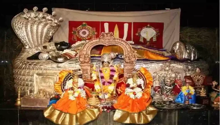 ఉదయం, సాయంత్రం ఇల్లు శుభ్రం చేసి.. దీపారాధన చేయడం వల్ల మహాలక్ష్మి కరుణా, కటాక్షాలు సిద్ధిస్తాయి.స్నాన, దాన, హోమ, వ్రత పూజలు చేయడం చాలా మంచిది.ధనుర్మాసం వచ్చిందంటే.. ఆలయాల్లో పండుగ వాతావరణం నెలకొంటుంది. విష్ణుమూర్తికి ప్రీతికరమైన మాసం కావడం వల్ల వైష్ణవులు ధనుర్మాస వ్రతం ఆచరిస్తారు. గోదాదేవి ధనుర్మాసమంతా విష్ణు వ్రతం చేపట్టి, స్వామిని కీర్తించింది. సూర్యాలయాలు, వైష్ణవాలయాలు సందర్శించడం చాలా మంచిది.అలాగే ఏదైనా ఒక నదిలోకాని లేక ఏదైనా ఒక పవిత్రమైన నదీ పుణ్య జలంలోకాని లేదా ఒక చెరువు లోకాని మీకు తోచిన పుణ్య స్థలంలో ఒక్క మునుగు మునుగిన 4 రెట్లు అశ్వమేధయాగం చేసిన ఫలితము దక్కును .