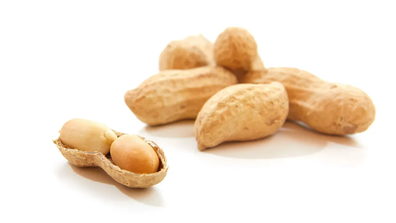 వేరుశెనగ తినడం వల్ల పొట్ట నిండిన అనుభూతి కలుగుతుంది, తద్వారా అతిగా తినడం తగ్గుతుంది. ఇది బరువు నియంత్రణలో సహాయపడుతుంది. ఎప్పటికప్పుడు జాగ్రత్తలు పాటించండి ..డయాబెటిస్ పేషెంట్లు వేరుశెనగలను అధికంగా కాకుండా, పరిమితి లో తీసుకోవాలి. రుచికి నూనె లేదా ఉప్పు జతచేయకుండా తినడం ఉత్తమం.