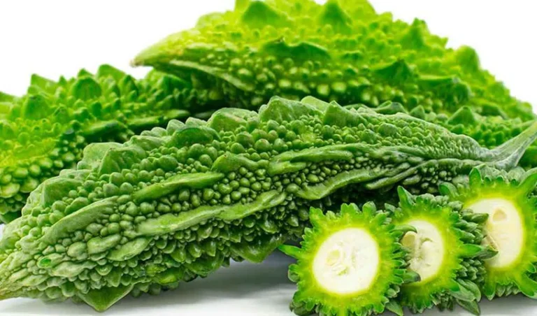 కాకరకాయలు డయాబెటిస్ ఉన్నవారికి ప్రత్యేకమైన ప్రయోజనాలను అందిస్తాయి. ఇందులోని చరాంతిన్ అనే సహజ స్టెరాయిడ్ రక్తంలో చక్కెర స్థాయిలను తగ్గిస్తుంది. అలాగే, గ్లూకోసైట్స్ రక్తంలోని చక్కెర స్థాయిలను తగ్గిస్తాయి. కాకరకాయలు ఇన్సులిన్ ఉత్పత్తిని పెంచి, శరీరంలోని షుగర్ లెవల్స్‌ని నియంత్రించడంలో సహాయపడతాయి.