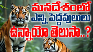 మనదేశంలో ఎన్ని పెద్దపులులు ఉన్నాయో తెలుసా..?
